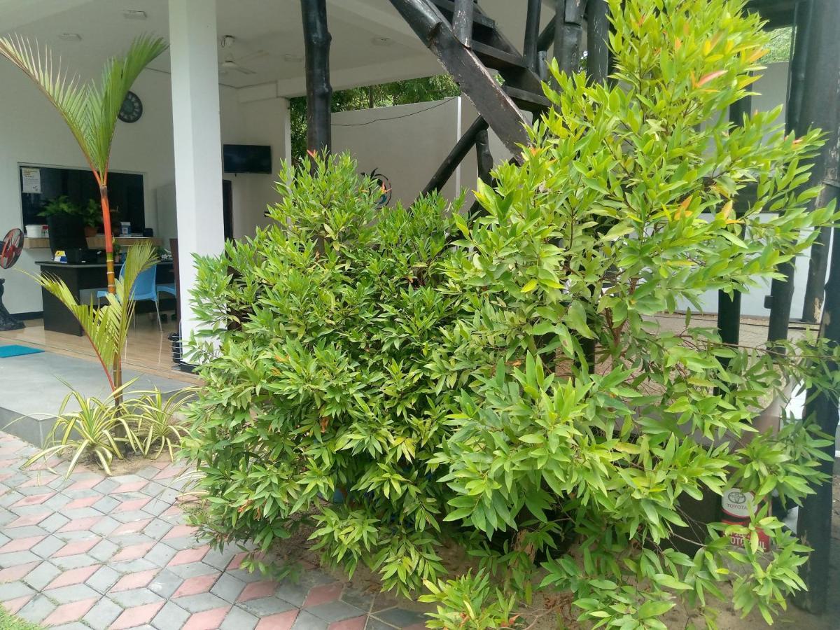 Ocean Bay Guest house Arugam Bay
